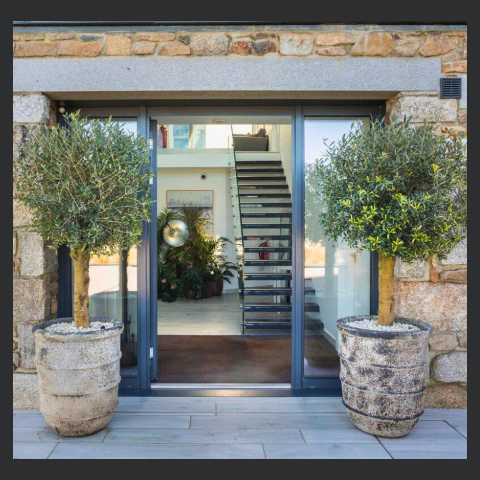 Apartamento Uno - St Ives Exterior foto